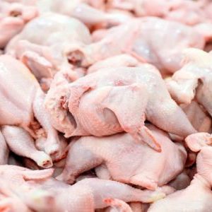 ایران یک‌قدم تا رتبۀ ۴ تولید مرغ در جهان